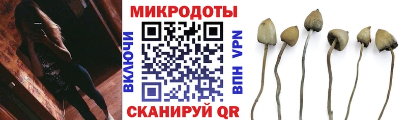 Псилоцибиновые грибы мухоморы  Прокопьевск 