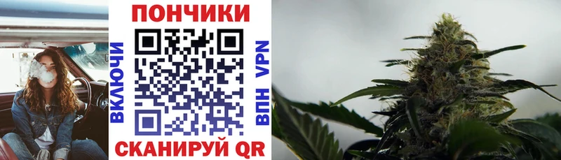 Конопля планчик Прокопьевск
